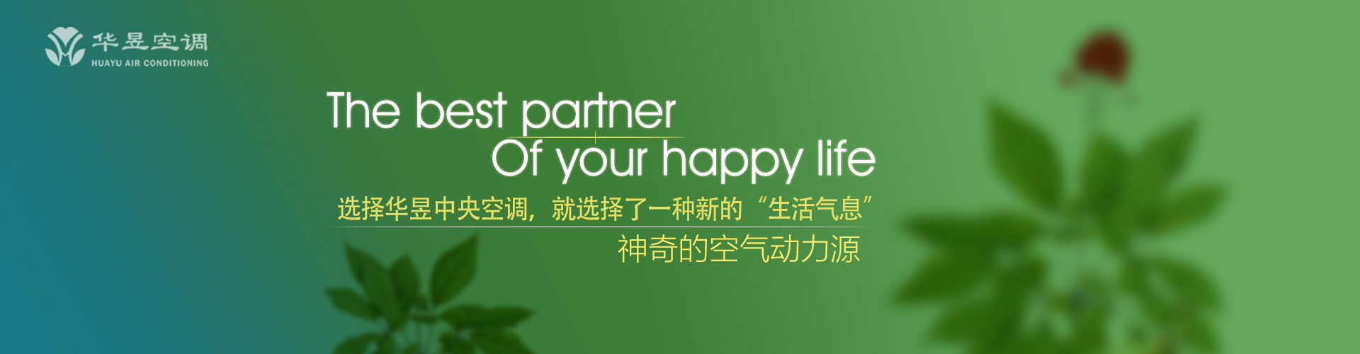 另辟蹊径网